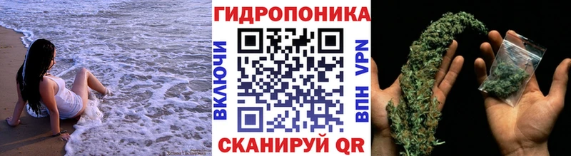 Как найти закладки Няндома Метадон  АМФ  Cocaine  МЕФ  Марихуана  Псилоцибиновые грибы  А ПВП  ГАШИШ 