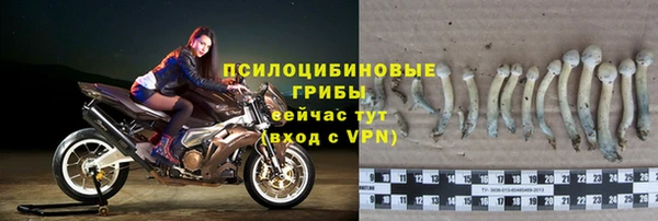 индика Балабаново