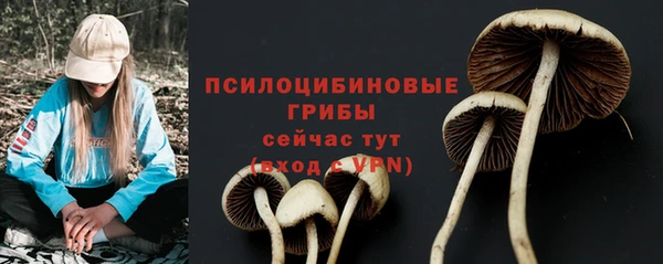 ALPHA-PVP Баксан