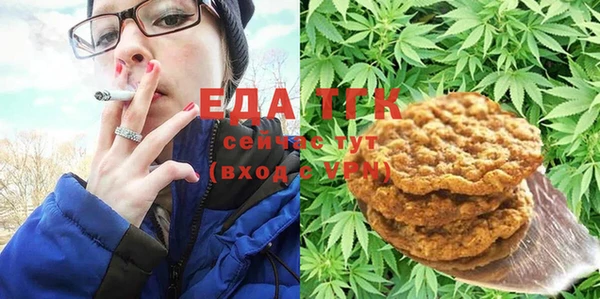 индика Балабаново