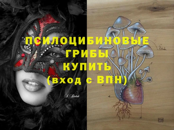 ешки Балахна