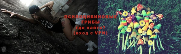 индика Балабаново